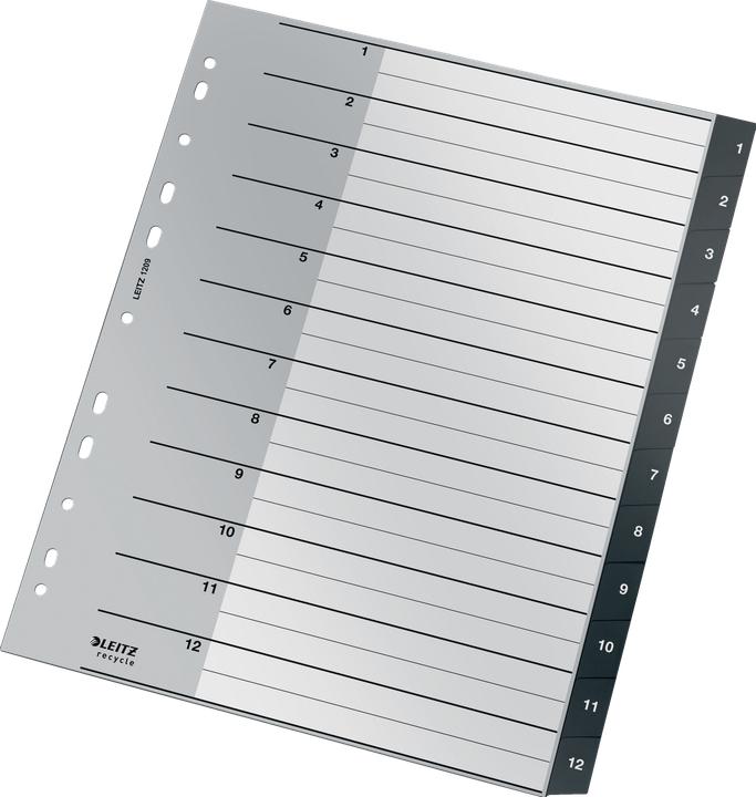 Produktbild Leitz RECYCLE - Register PP