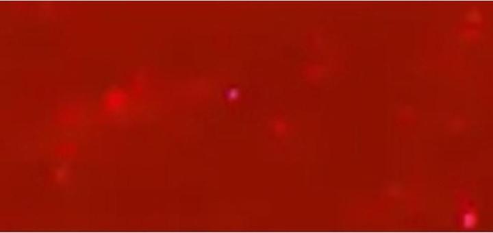 Immagine prodotto OPI Gelcolor Gel Nail Polish 15 Ml (Smalto per unghie effetto gel)