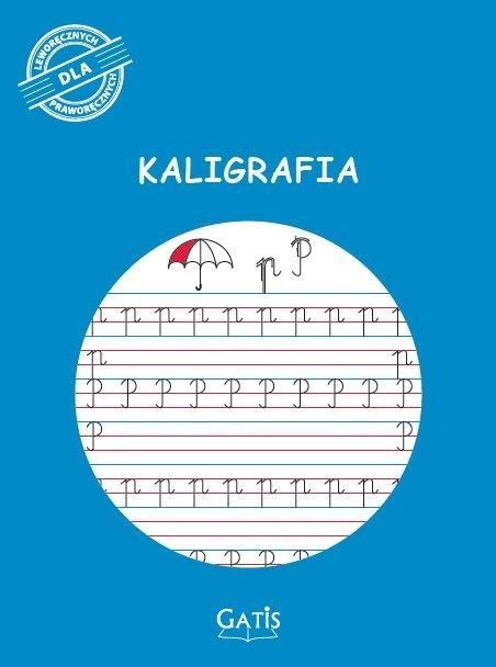 Notizbuch A4/16K liniert Kalligraphie (A4, Speziallineatur)