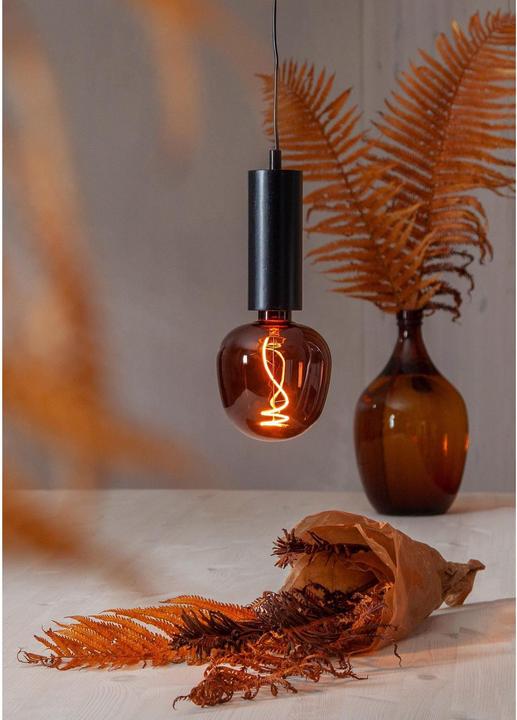 Actual product image EGLO LED bulb E27 (E27, 40 lm, 40x)