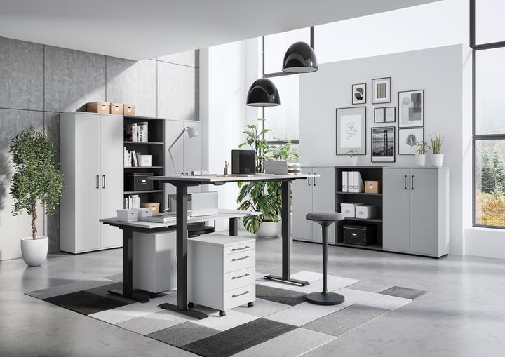 Produktbild Germania Boras höhenverstellbarer Schreibtisch lichtgrau rechteckig, C-Fuss-Gestell schwarz 160,0 x 8 (160 x 80 x 118 cm)