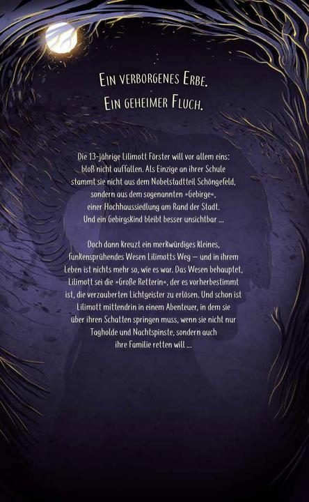 Produktbild Ameling:Dämmernachtstraum (Deutsch, Anne Ameling, 2025)