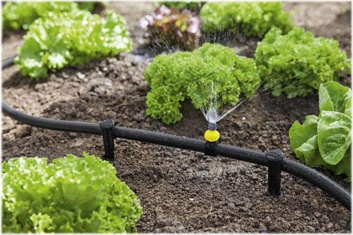 Actual product image OTL Harry Potter Jr.