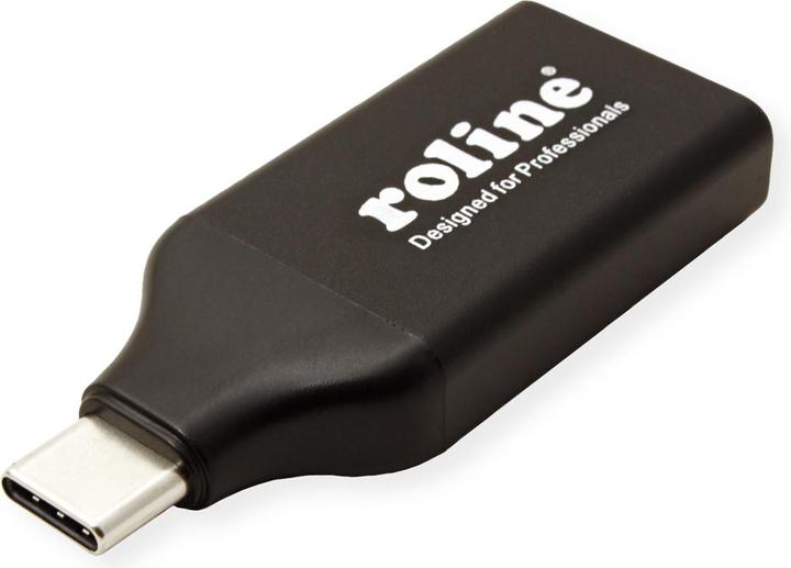 Produktbild Roline DisplayPort—USB Typ C (DP, 5.25 cm)