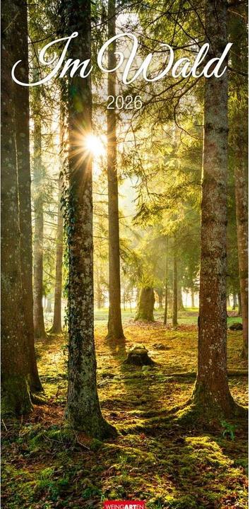 Produktbild Im Wald Kalender 2026 (33 x 68 cm, Harter Einband, Deutsch)