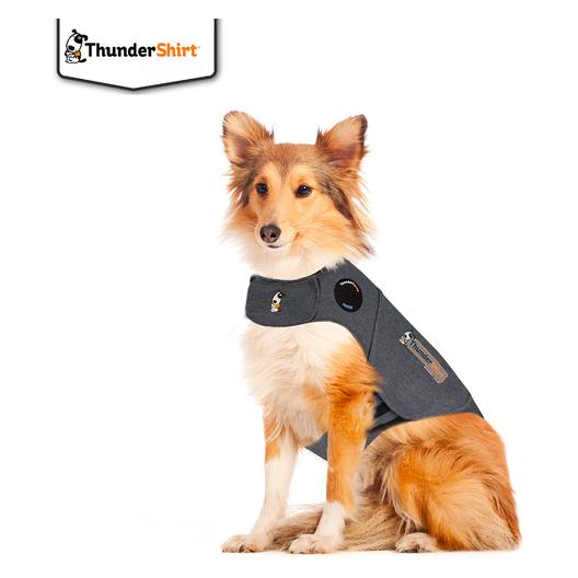 Tommi Cz ThunderShirt - Compressieshirt M - (972892) (M, Hondenvest), Hondenkleding