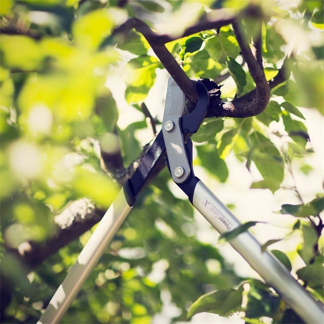Produktbild Fiskars Astschere Bypass PowerGearX LX