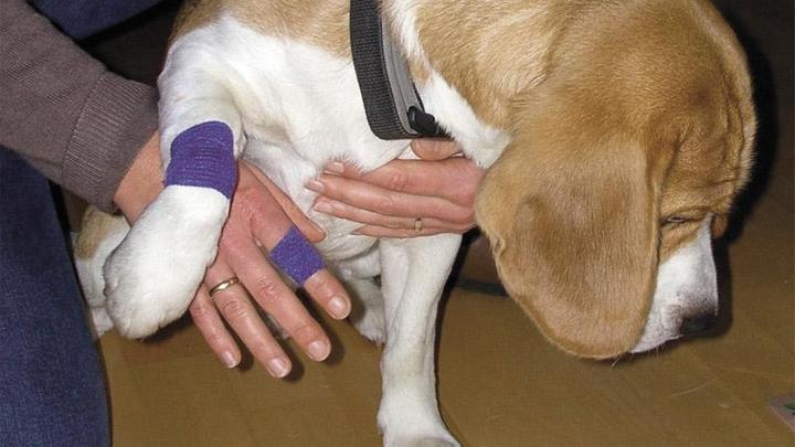 Produktbild Beko Wund-Schnellverband Set (1 x)