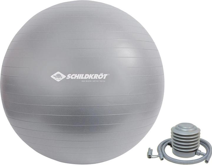 Actual product image Schildkröt Gym ball 65 cm (65 cm)