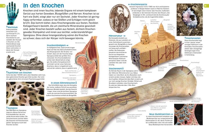 Actual product image memo Wissen entdecken. Der Körper (German, Sibylle Tönjes, 2018)