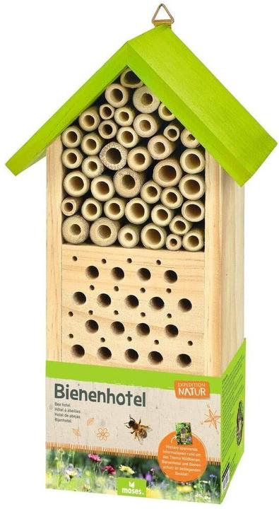 Expédition Nature (Abeilles sauvages)