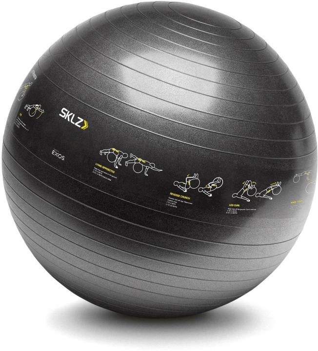 Actual product image SKLZ Exercise ball (65 cm)