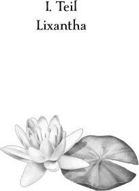 Immagine prodotto Daresh – Das Land der flüsternden Seen (Tedesco, Katja Brandis, 2023)