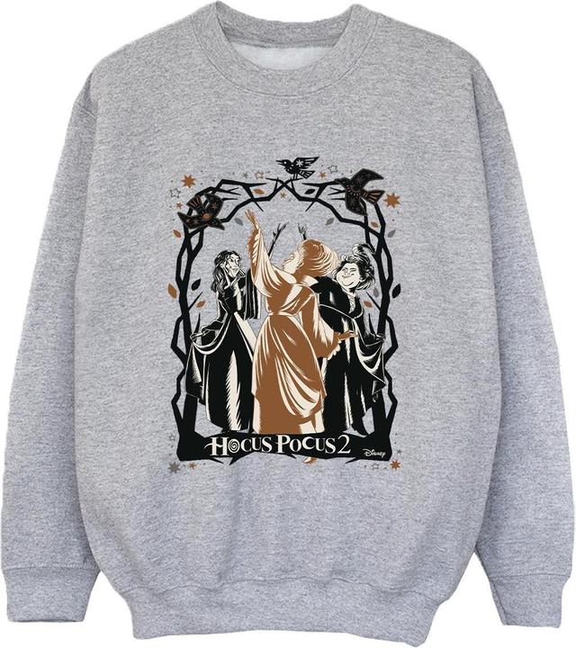 Produktbild Disney Hocus Pocus Birds Sweatshirt Jungen (152, 158)