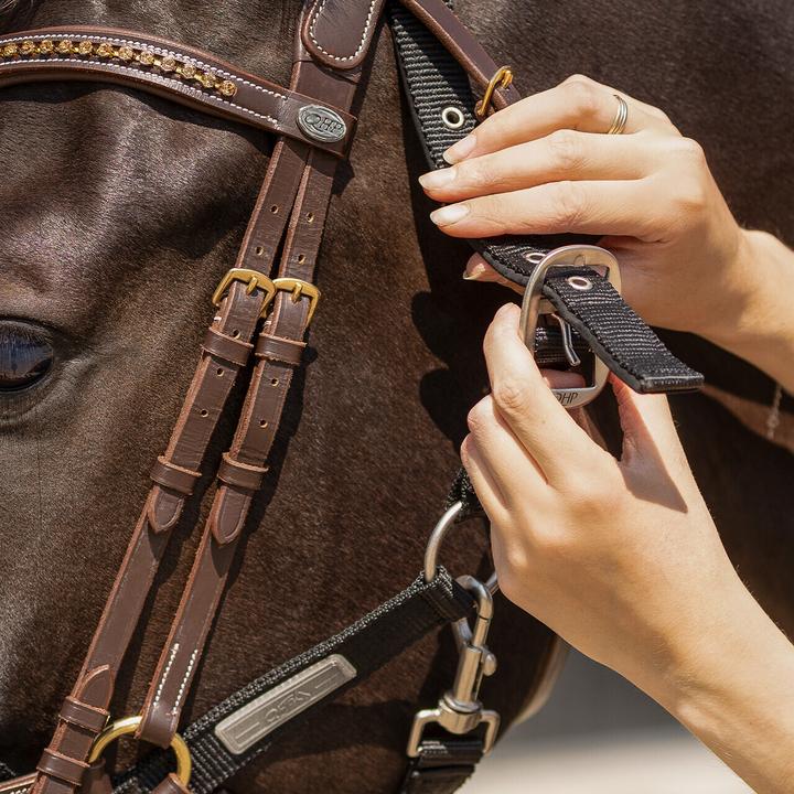 Immagine prodotto Qhp Capestro per cavallo