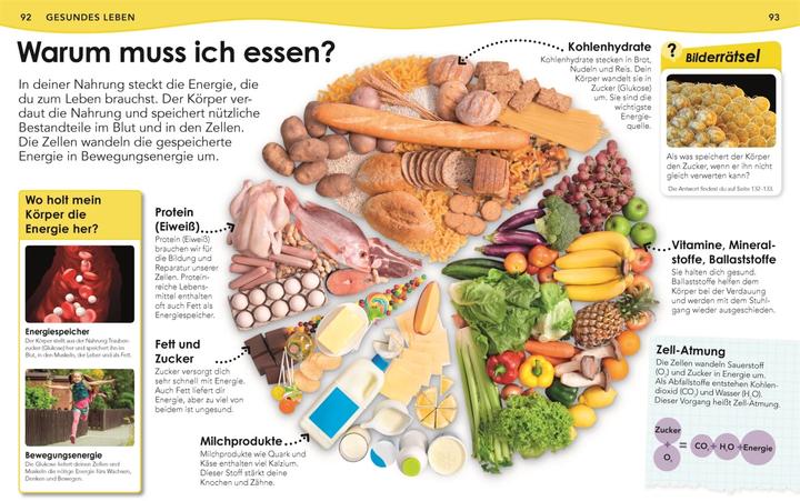 Actual product image Weshalb? Deshalb! Körper (German, Emily Dodd, 2021)