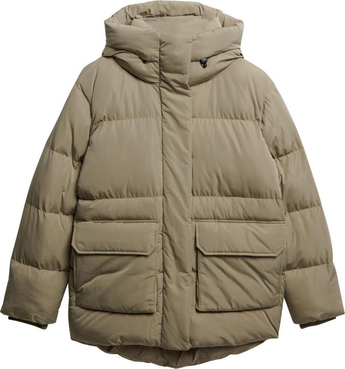 beige winter branch