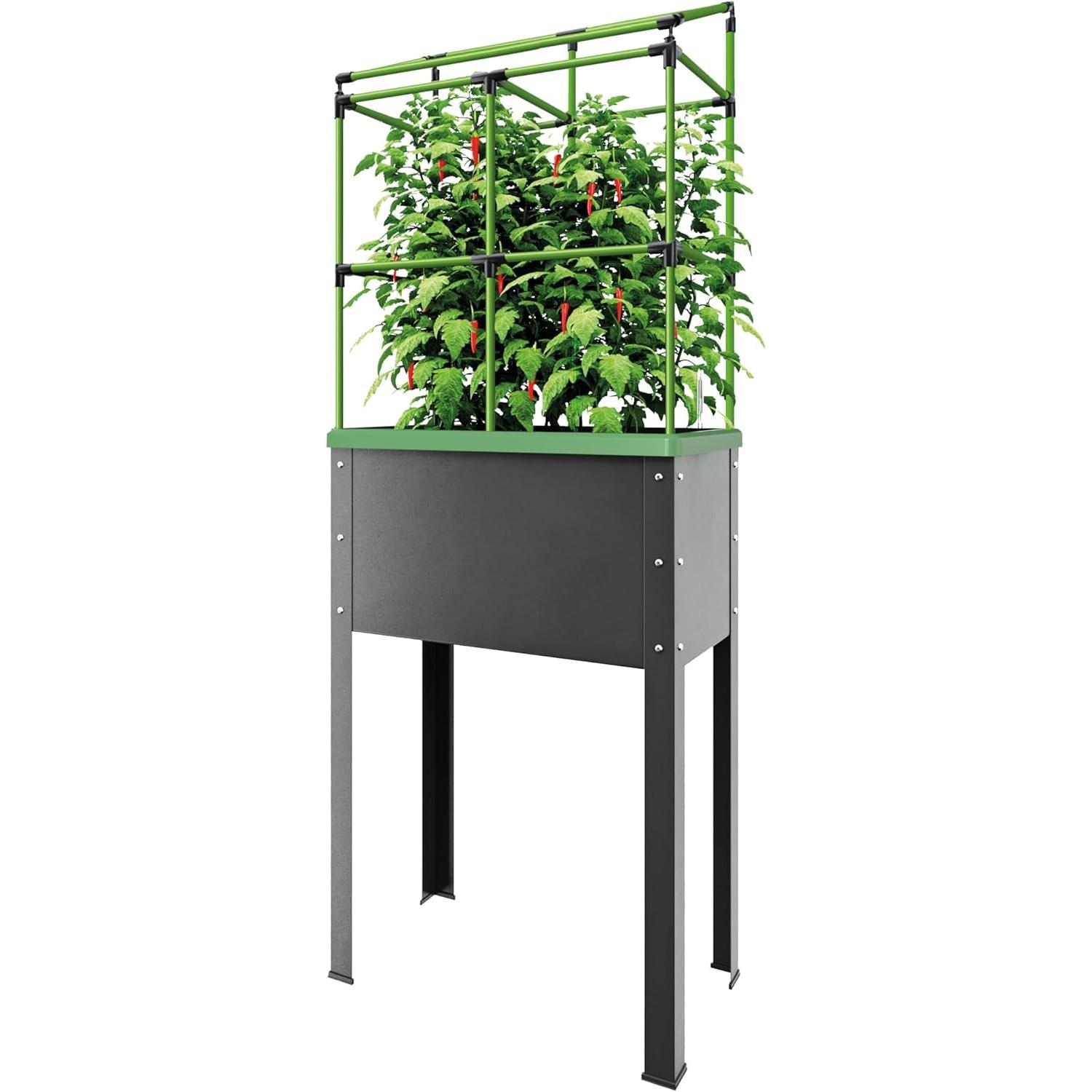 Bio Green Hochbeet Heidelberg (JGL-HDB-L)