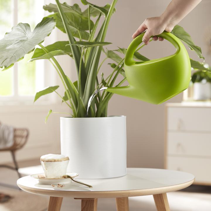 Immagine prodotto Scheurich Vaso da fiori (40 cm)