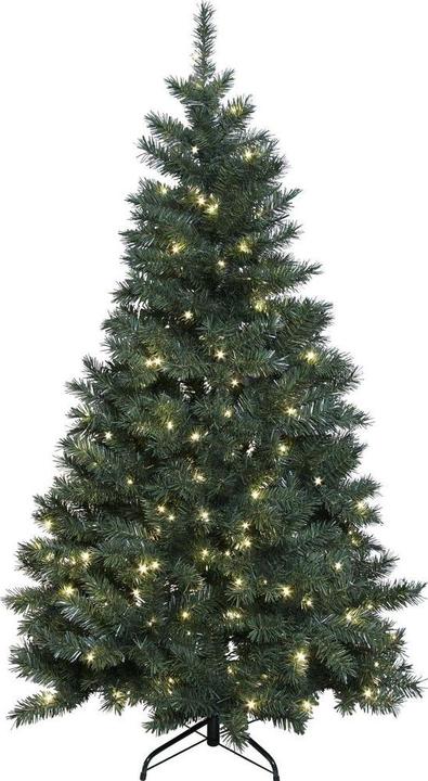 Actual product image Star Trading Ottawa (180 cm)