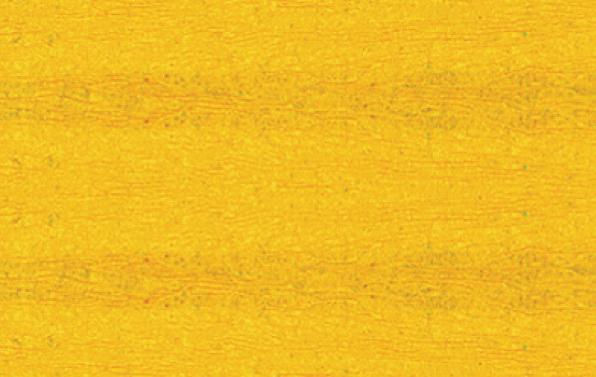 Actual product image I Am Creative Crepe paper (1 x)