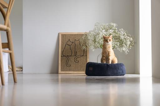 Productafbeelding Designed by Lotte Ligmand (Hond, Kat)