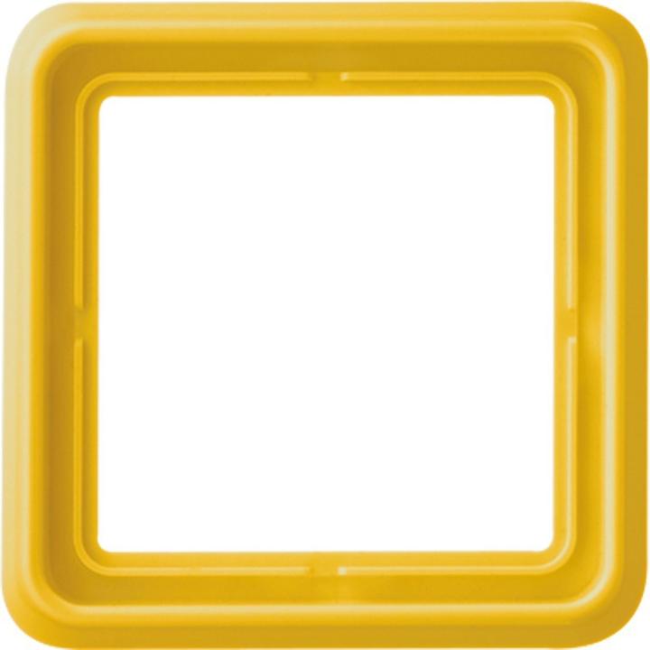 Actual product image JUNG Mounting frame 1f ge glz CD / CD 500 Kst CD581GLGE