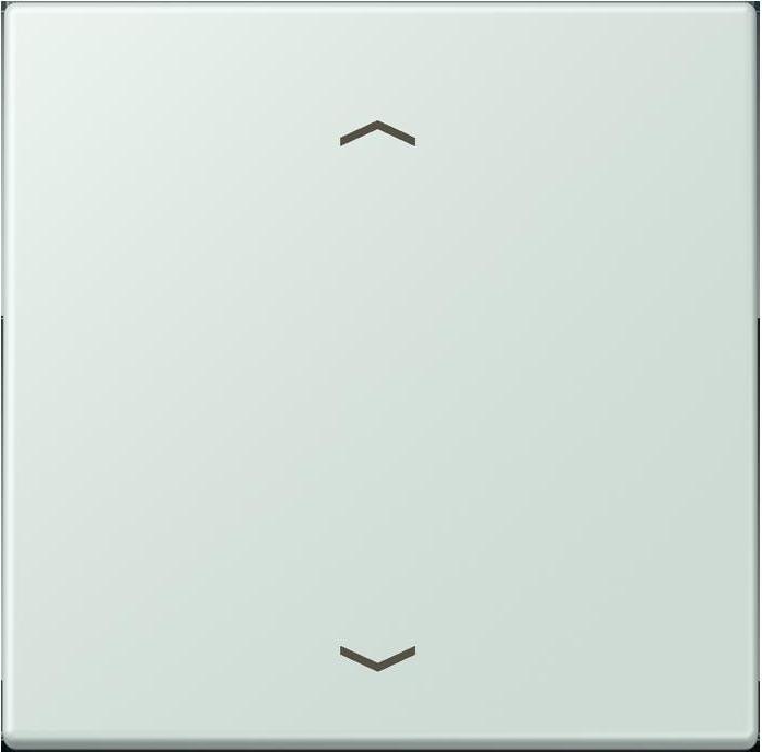 Actual product image JUNG Control button