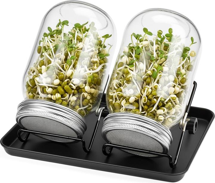 Relaxdays Sprout glass