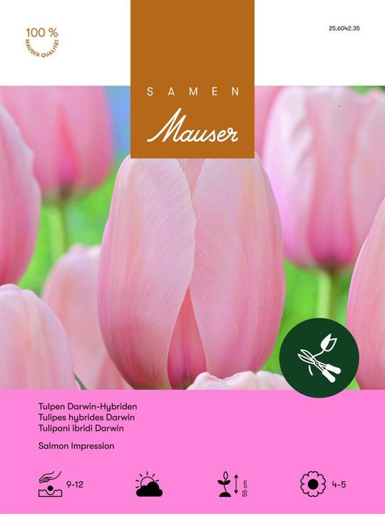 Produktbild Samen Mauser Tulpe Salmon Impression Aktion (Blumensamen)