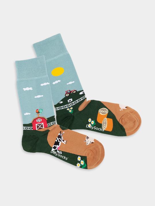 Immagine prodotto DillySocks Farmer's Finest (41 - 46)