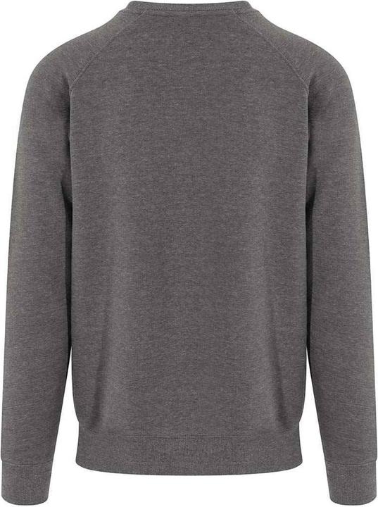 Immagine prodotto Awdis Graduate Felpa Uomo (XS)