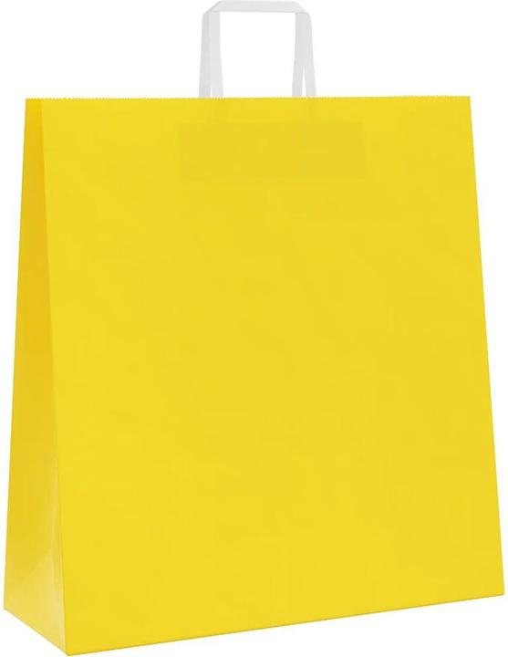 Produktbild vidaXL Papiertragetasche (250x)