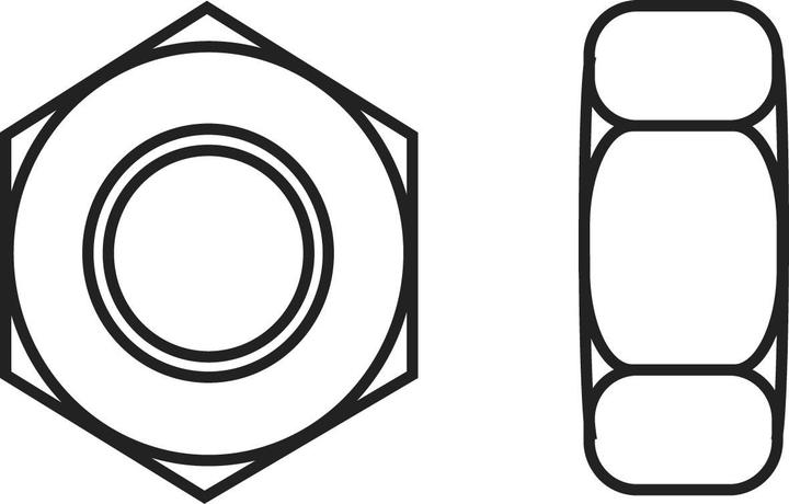 Toolcraft Hexagon nuts M5 plastic (M5)