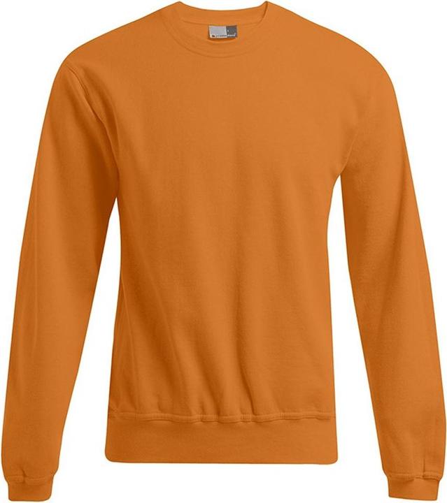 Produktbild Promodoro New Sweatshirt (S)