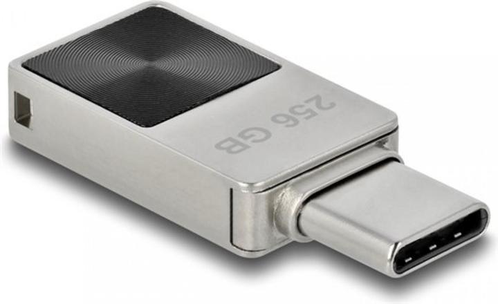 Delock Mini (256 GB, USB-C)