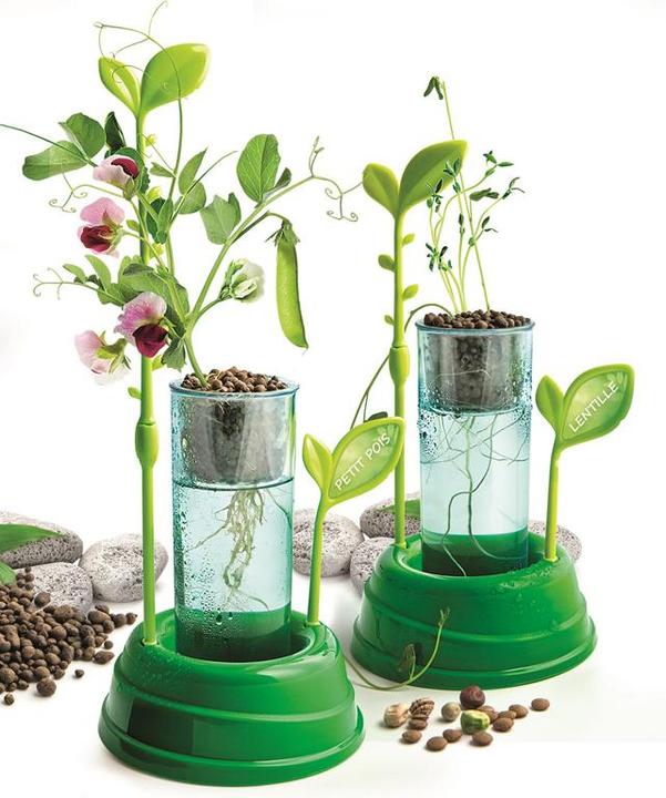 Productafbeelding Clementoni Botanique et Hydroponie F