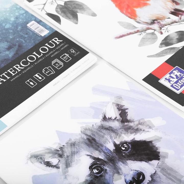 Immagine prodotto Oxford Markerblock (A4, Nessuna, Copertina morbida)