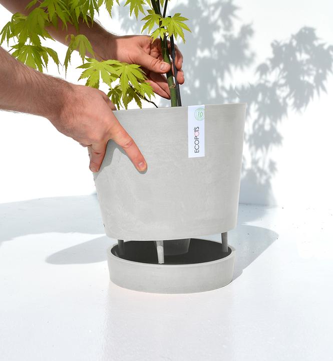 Produktbild Ecopots Venice (30 x 26 cm)