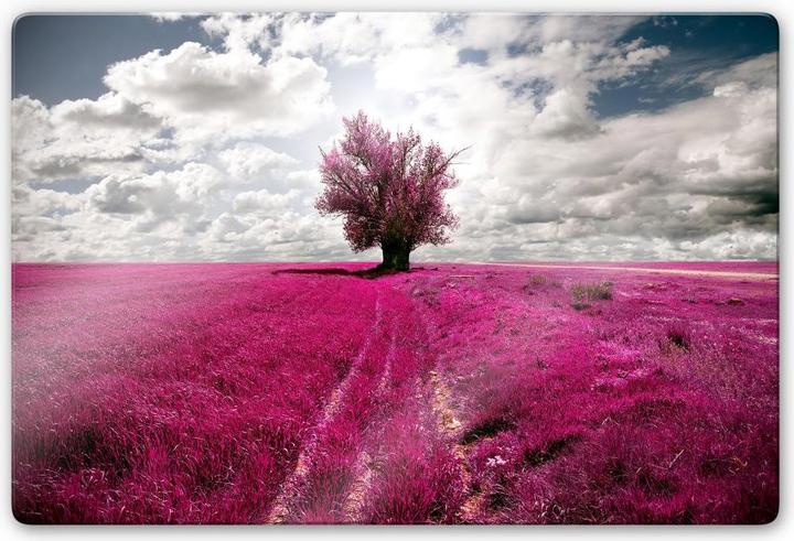 Actual product image Trenddeko The Lonely Tree (60 x 40 cm)