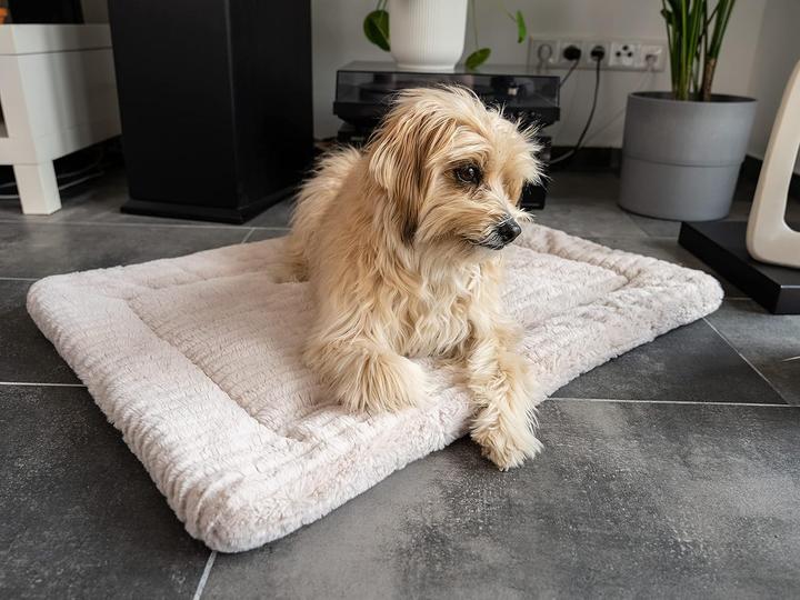 Produktbild Trend Pet Harmony (Katze, Hund)