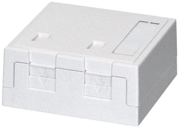 Actual product image Dätwyler Network socket AP junction boxes 2x