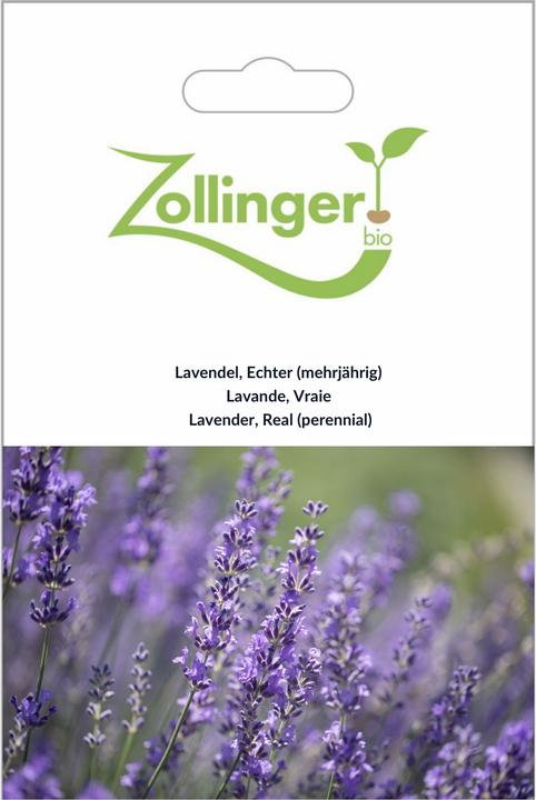 Zollinger Bio Lavendel, Echter (mehrjährig) (Keimlinge)