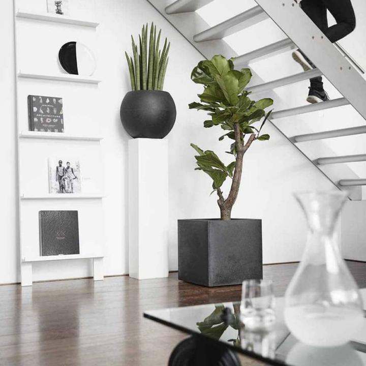 Actual product image Capi Tutch Pot (30 x 30 x 30 cm)