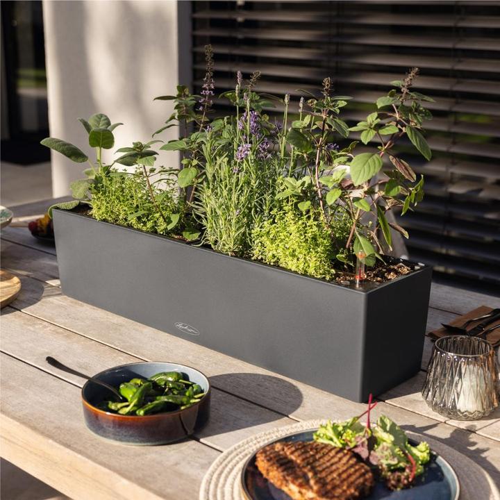 Productafbeelding Lechuza Balconera Kleur (79 x 19 x 19 cm)