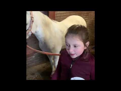 Produktbild Lucky Horse Unicorn Shine Spray