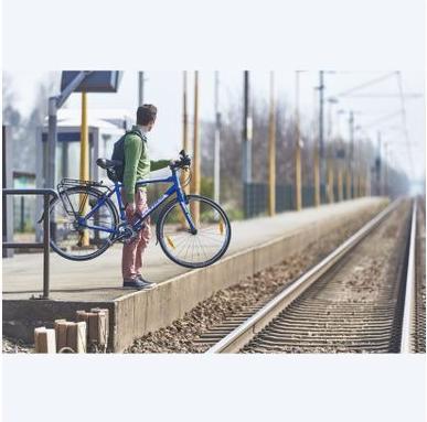 Actual product image Mottez Grip