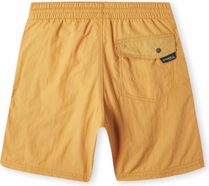 Actual product image O'Neill Vert Swim Shorts