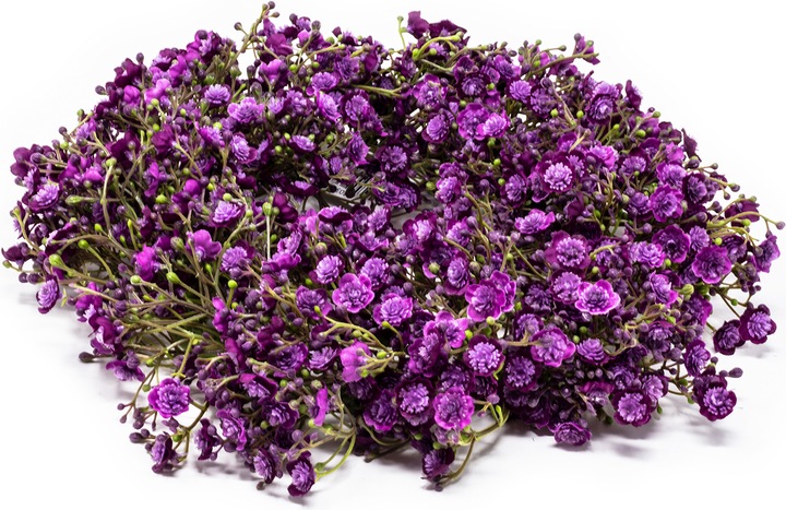 Actual product image Exner Garten und Wohnaccessoires Gypsophilia linz