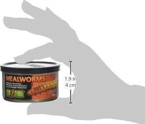 Actual product image Exo Terra Reptile food Mealworms 34g (1 x, 0.03 kg)